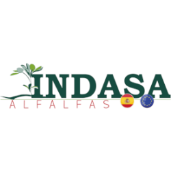 Logotipo Indasa 276px
